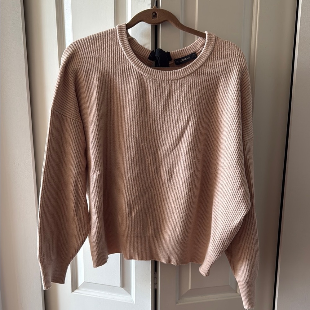 Zara Pink Crew Neck Sweater (size L)